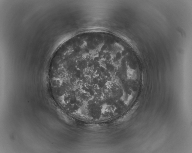 X0000110941405200907101238