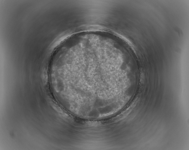 X0000110941407200907101238