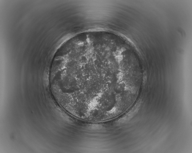 X0000110941409200907101238