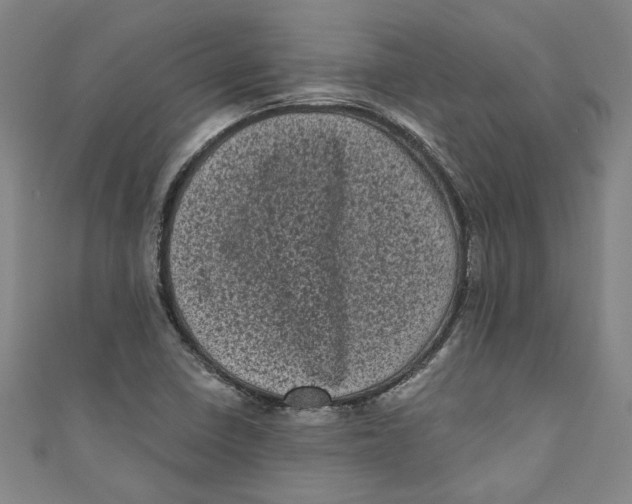 X0000110941410200907101238