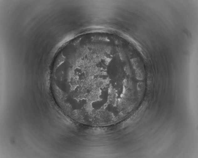 X0000110941411200907101238