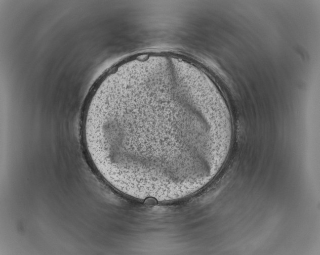 X0000110941412200907101238