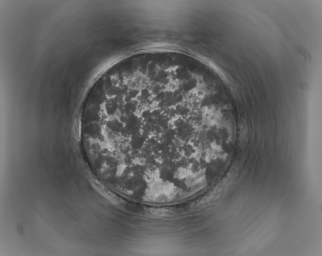 X0000110941413200907101238