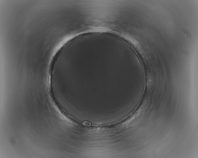 X0000110941414200907101238