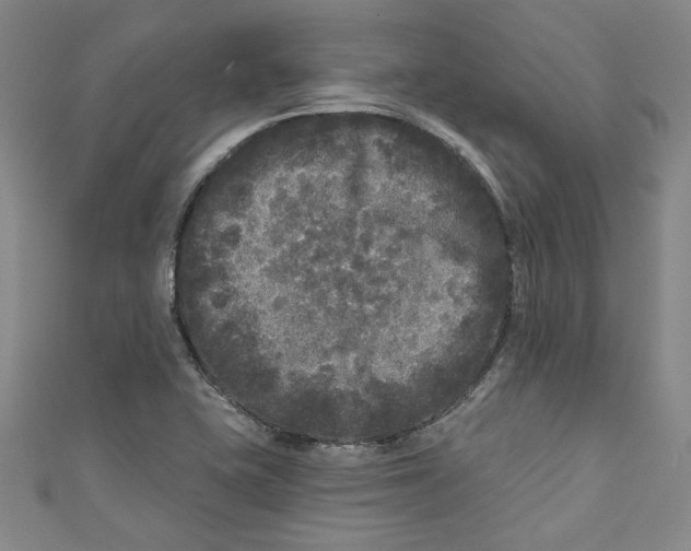 X0000110941415200907101238