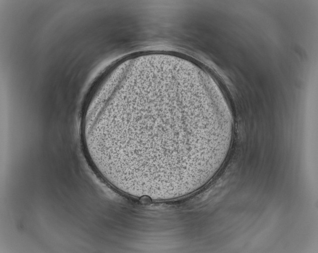 X0000110941416200907101238