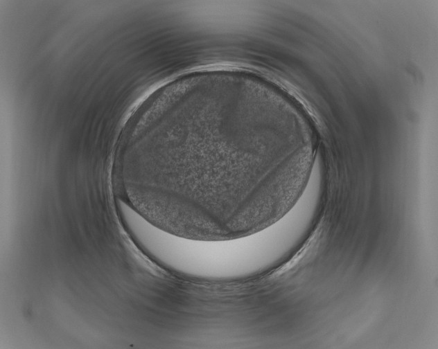 X0000110941417200907101238