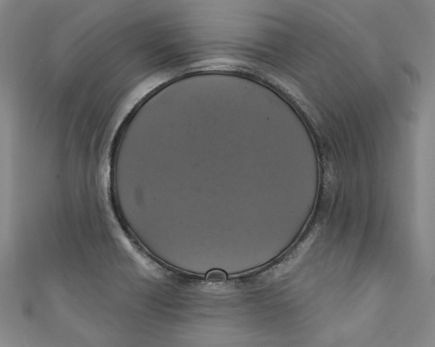 X0000110941418200907101238