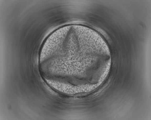 X0000110941420200907101238