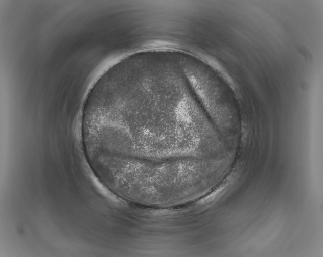 X0000110941421200907101238