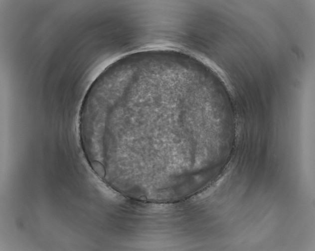 X0000110941423200907101238