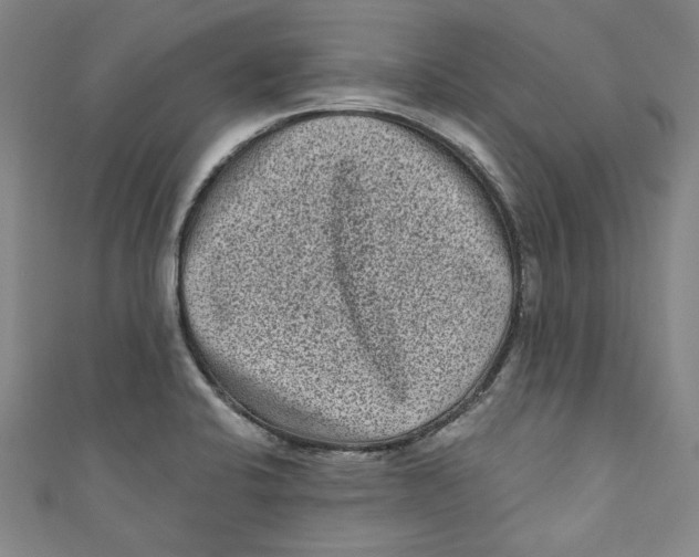 X0000110941424200907101238