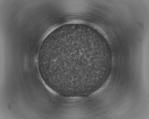 X0000110941425200907101238