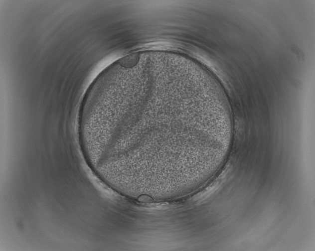 X0000110941426200907101238