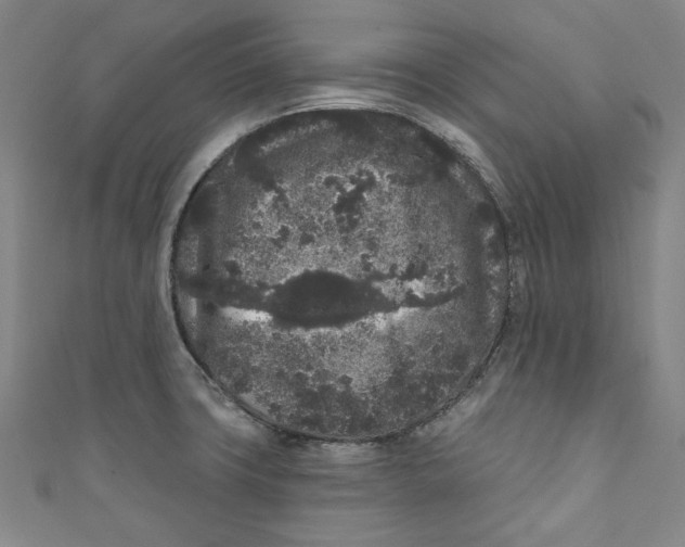 X0000110941427200907101238