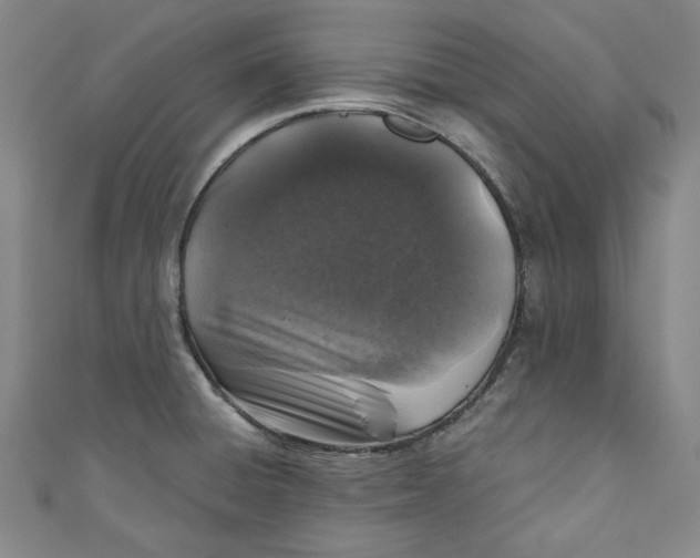 X0000110941428200907101238