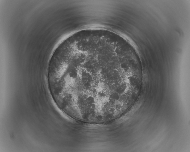 X0000110941429200907101238