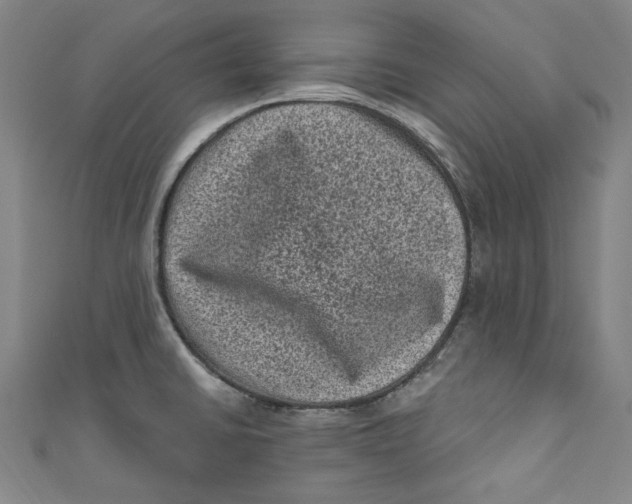 X0000110941430200907101238