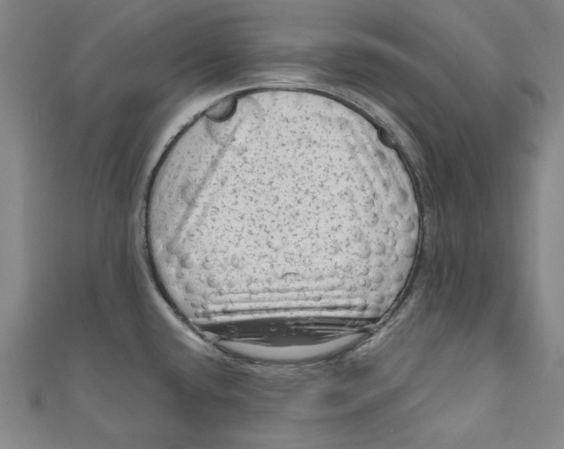 X0000110941432200907101238