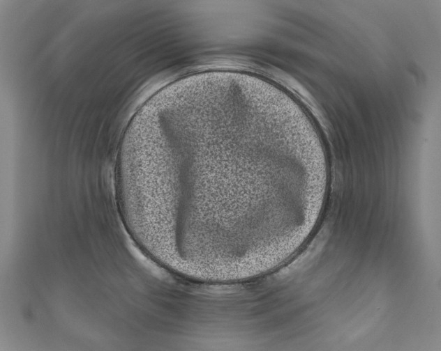 X0000110941433200907101238