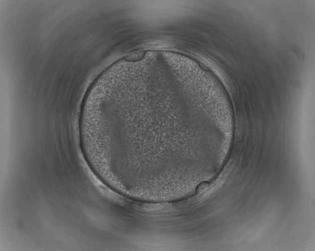 X0000110941434200907101238