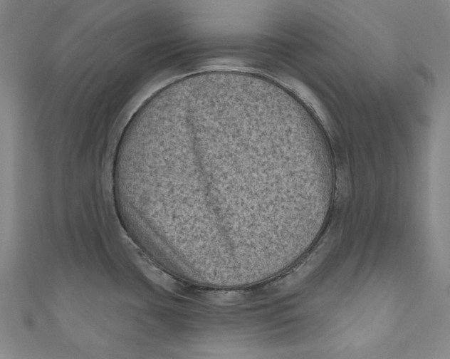 X0000110941435200907101238