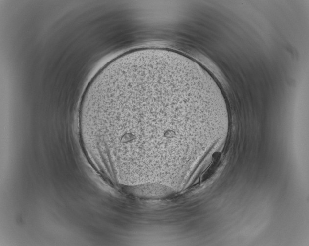 X0000110941436200907101238