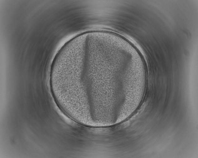 X0000110941437200907101238