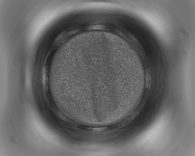 X0000110941438200907101238