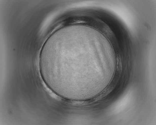 X0000110941439200907101238