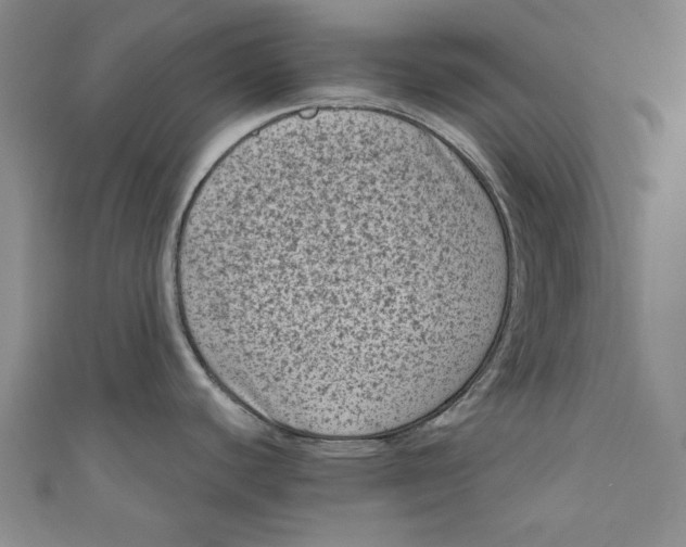 X0000110941440200907101238