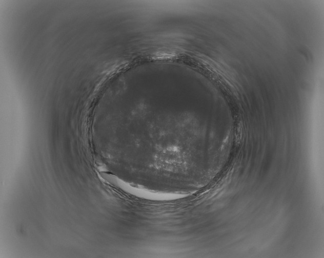 X0000110941441200907101237