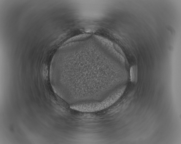 X0000110941443200907101237