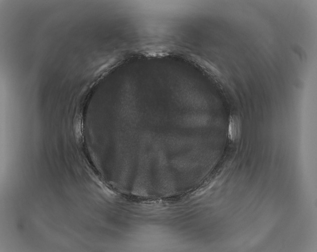 X0000110941444200907101237