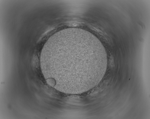 X0000110941446200907101237