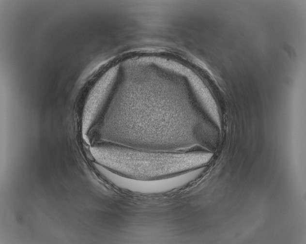 X0000110941448200907101237