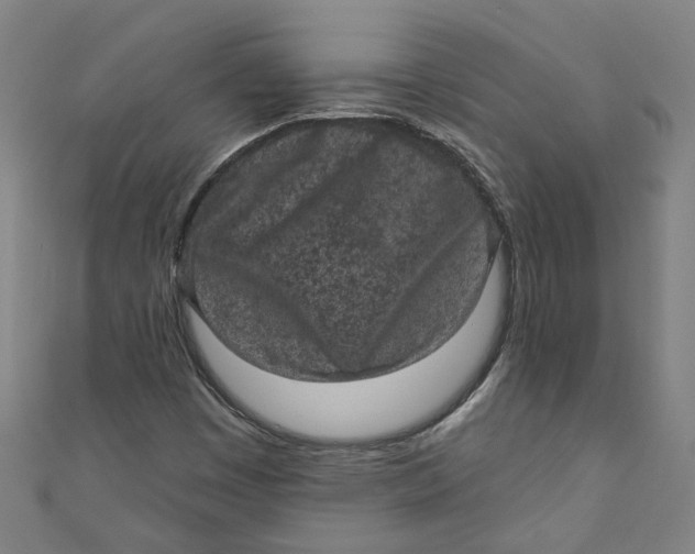 X0000110941449200907101237