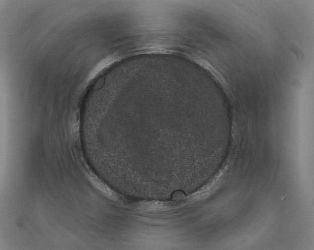 X0000110941450200907101237