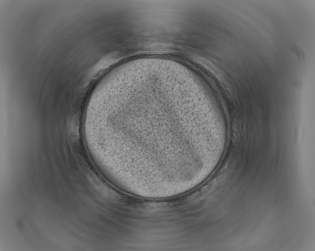 X0000110941451200907101237