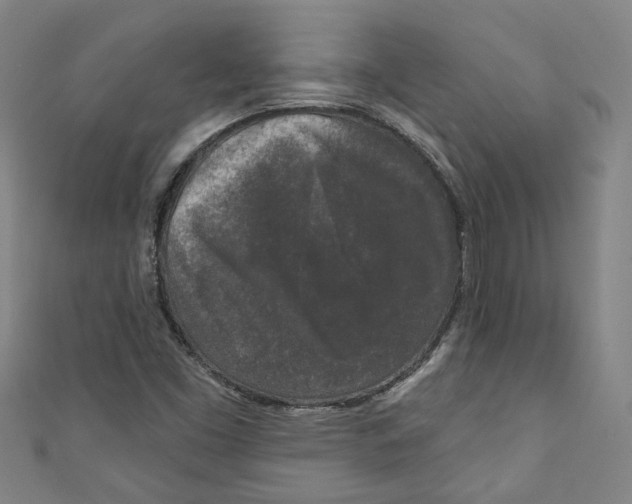 X0000110941453200907101237