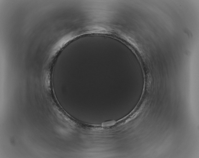 X0000110941455200907101237