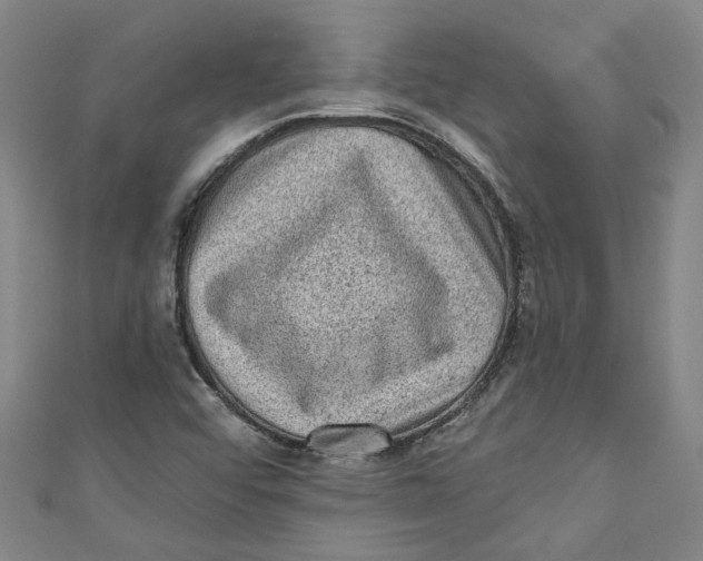 X0000110941456200907101237