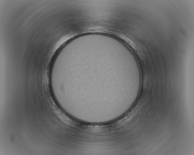 X0000110941458200907101237