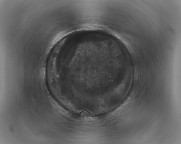 X0000110941459200907101237