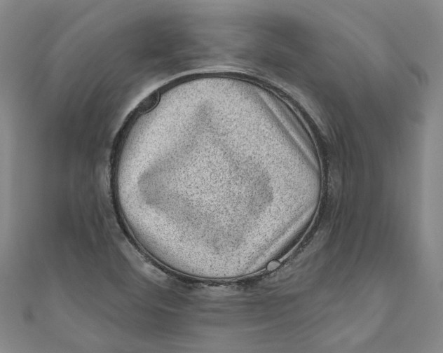 X0000110941460200907101237