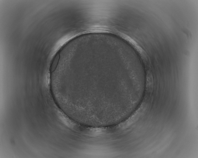 X0000110941461200907101237