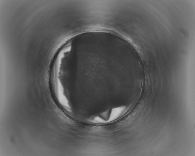 X0000110941463200907101237