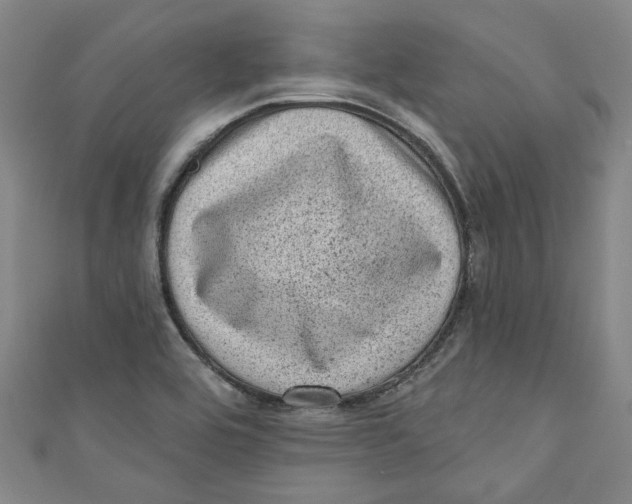 X0000110941464200907101237