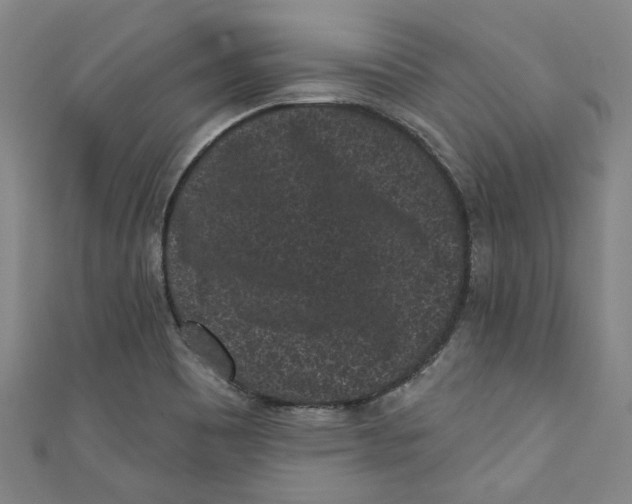 X0000110941465200907101237