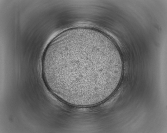 X0000110941467200907101237